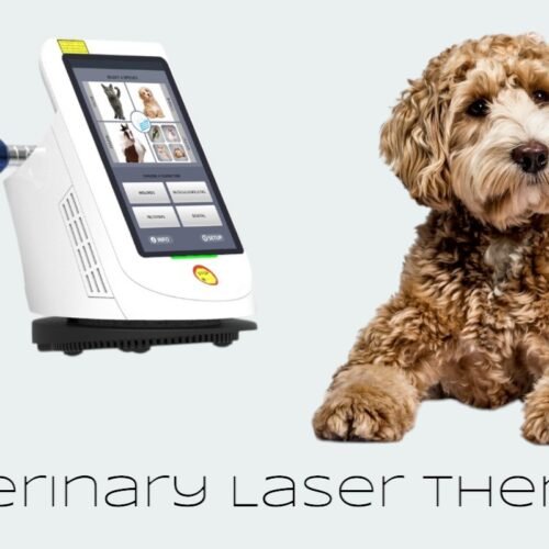 What is Companion Laser Therapy?