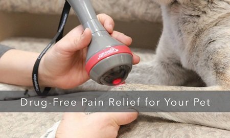 What is Companion Laser