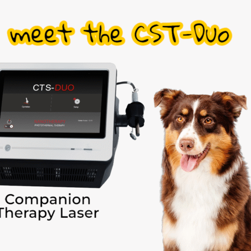 Heal Without Surgery? Meet the CTS Duo Laser