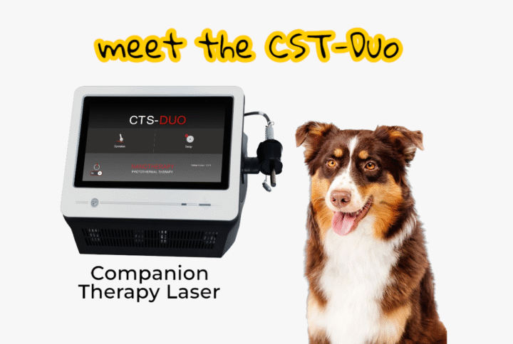 Heal Without Surgery? Meet the CTS Duo Laser
