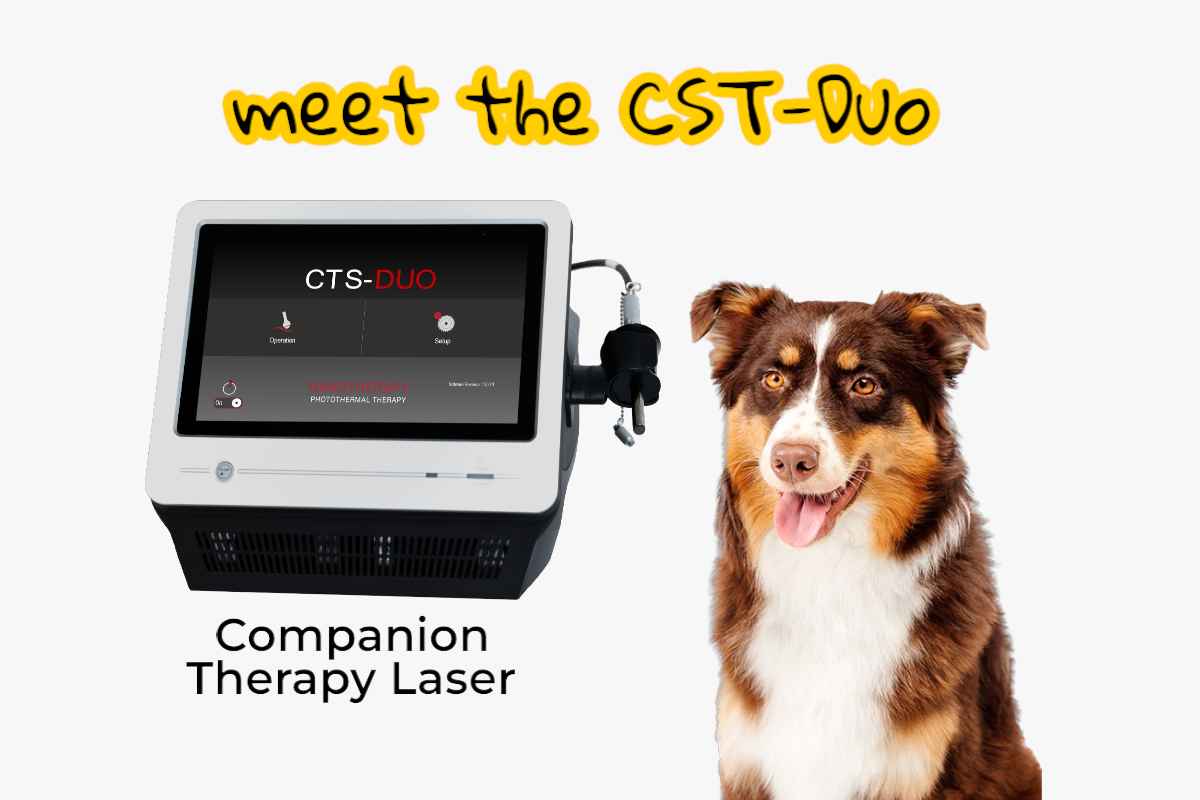 CTS Duo Laser