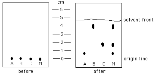 Sample chromatogram output illustrating peak separation, retention times, and detection.